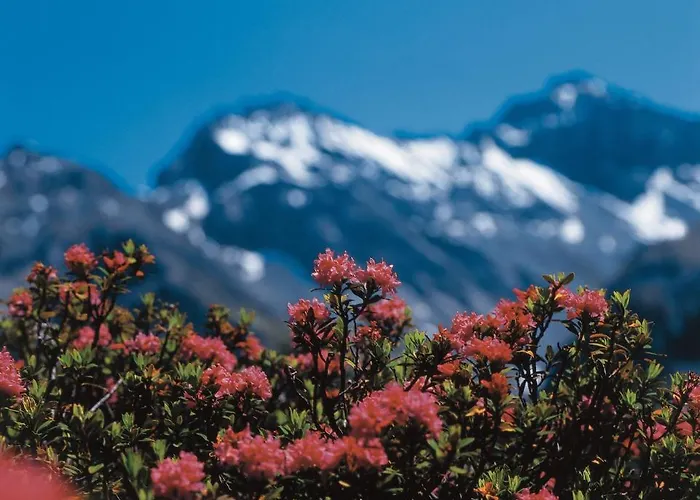 Berghof Sertig * Clavadel
