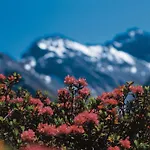 Berghof Sertig * Clavadel